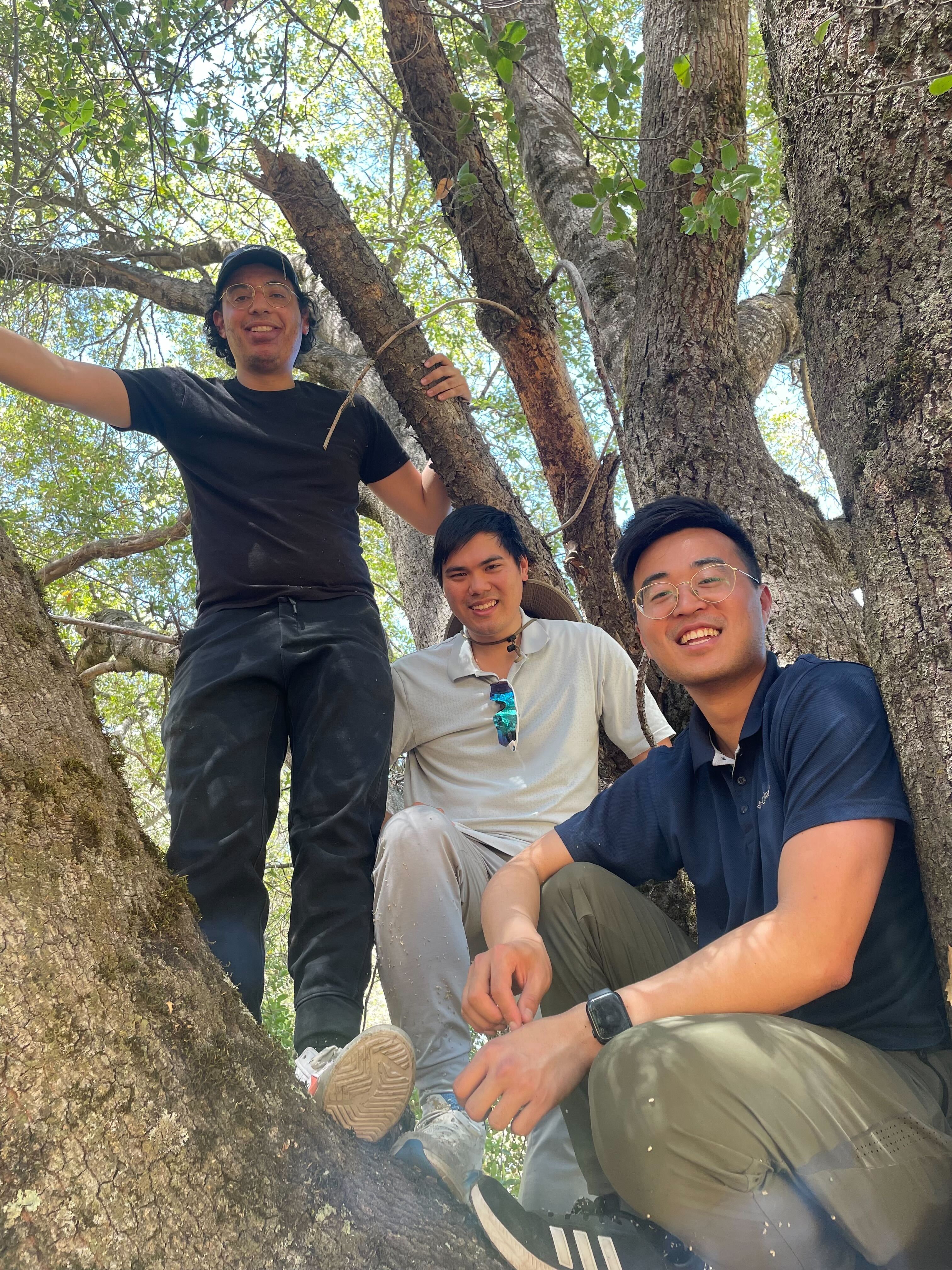 Picture of the author