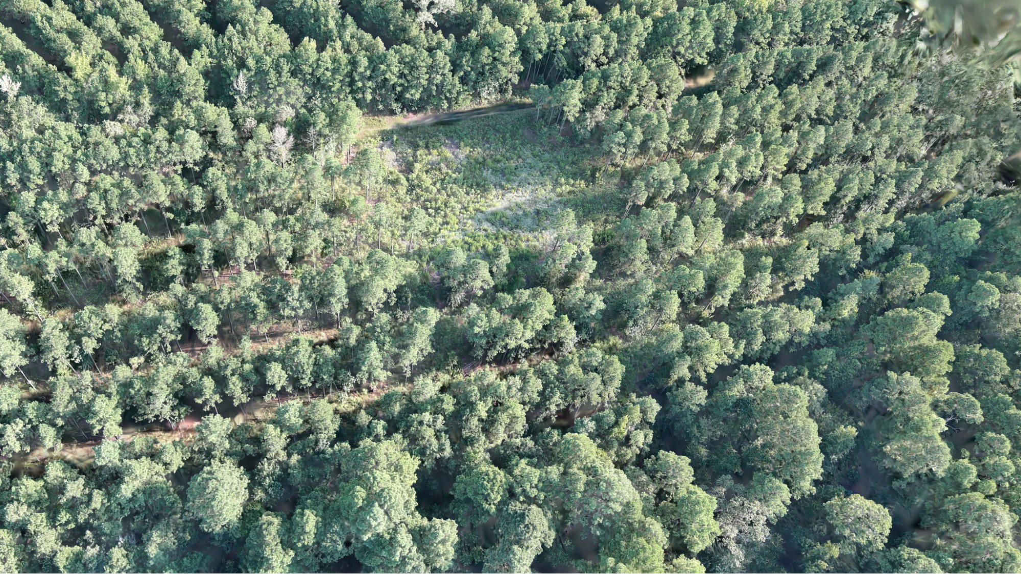 Sample species insight