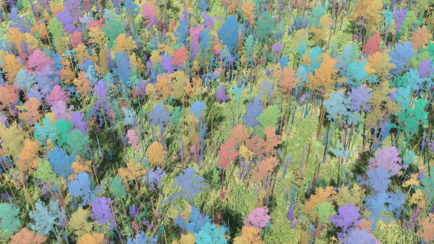 The 3D model with every tree picked out in its own colour
